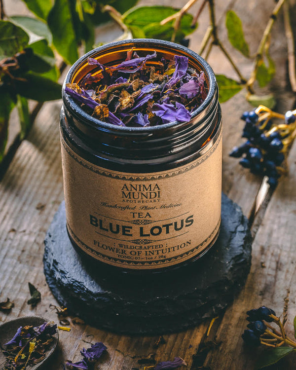 BLUE LOTUS | Flower of Intuition