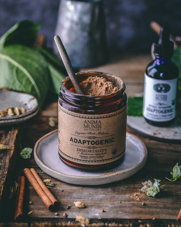 ADAPTOGENIC Powder | 7 Mushrooms + Heirloom Cacao