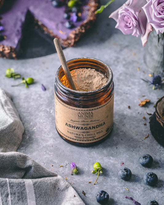 ASHWAGANDHA | Nature's Chill Pill